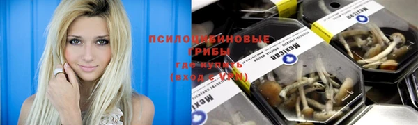 гашик Алексеевка