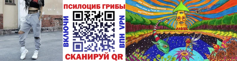 Псилоцибиновые грибы прущие грибы  магазин продажи   Пласт 